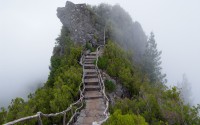 世界田径赛事环保办赛指南成为范本，世界田径竞标赛