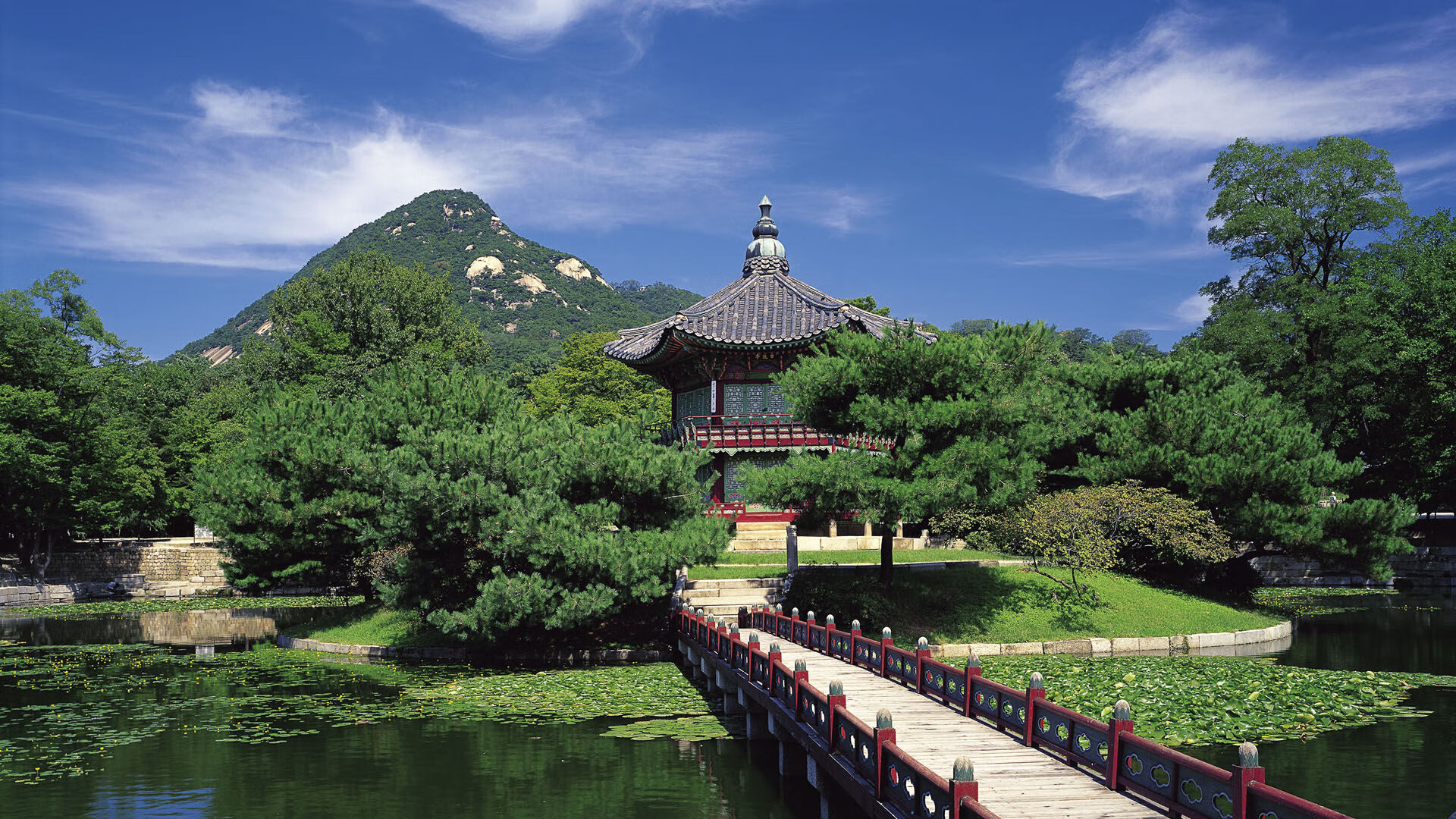 世界体操团体赛赛场医护协同机制进一步完善,世界体操大赛包括